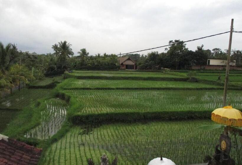 Pensjonat Ancut Sari