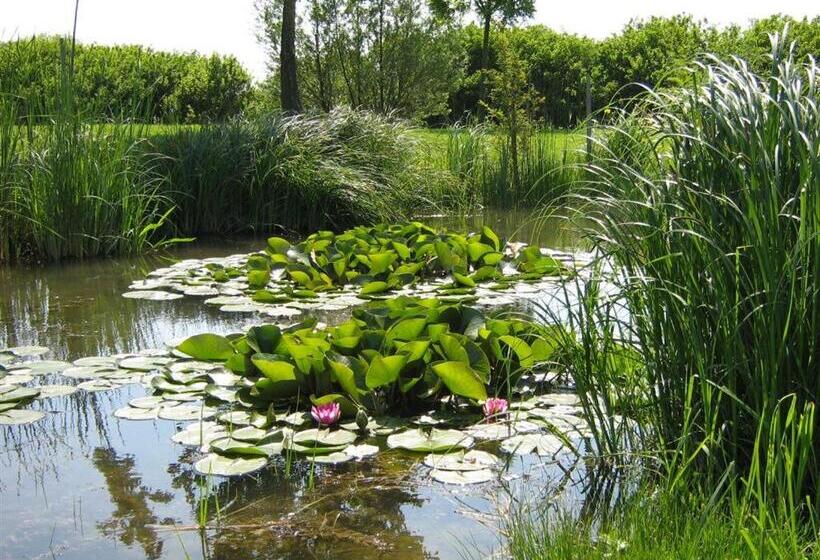 Pensjonat Lipót Termál Vendégszoba