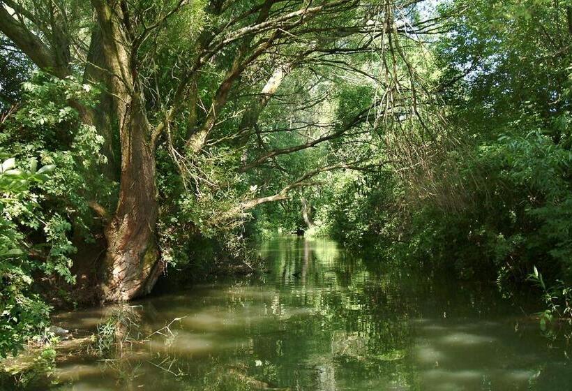 Pensjonat Lipót Termál Vendégszoba