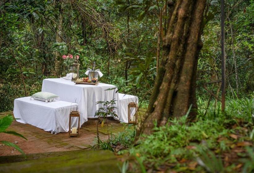 膳宿费 Serenity Mountain And Forest Lodge