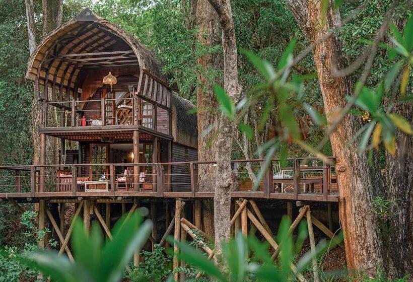 膳宿费 Serenity Mountain And Forest Lodge