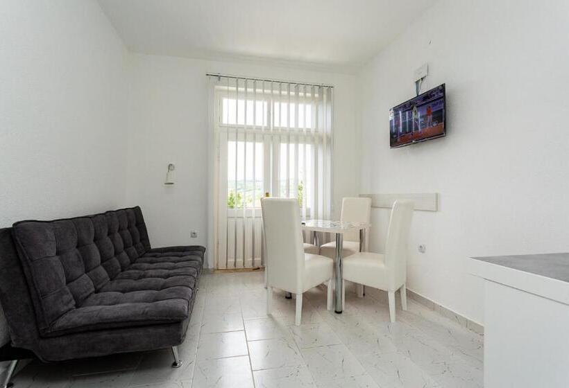 پانسیون Vila ćirković U Centru Sokobanje