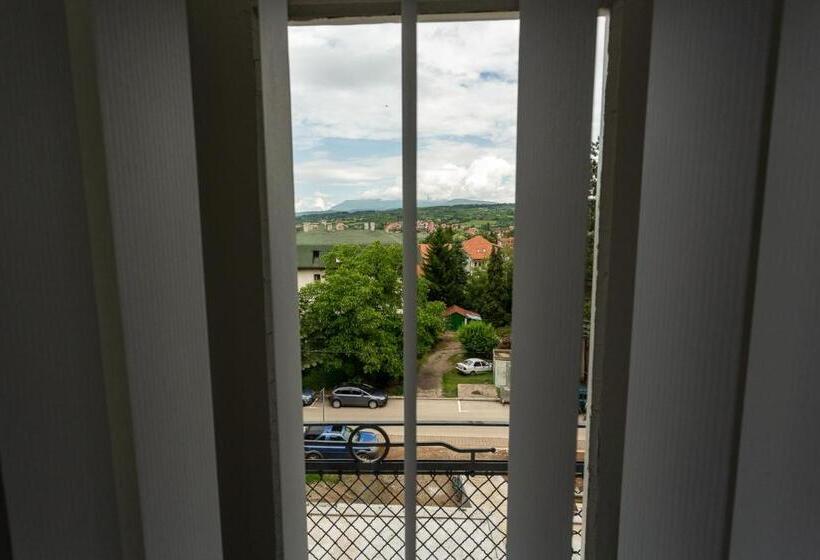 پانسیون Vila ćirković U Centru Sokobanje