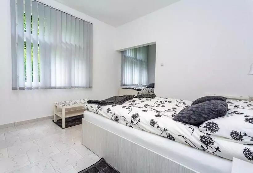 پانسیون Vila ćirković   U Centru Sokobanje