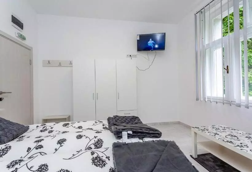 پانسیون Vila ćirković   U Centru Sokobanje