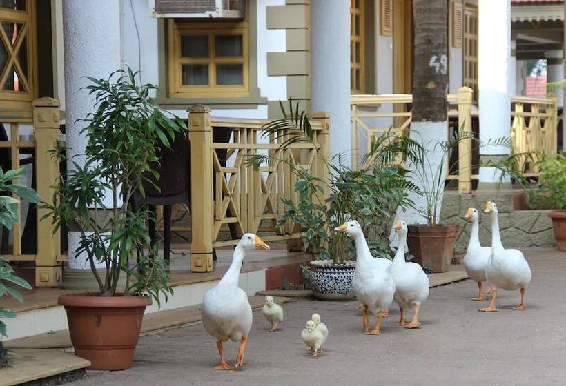 Golden Swan Beach Resort