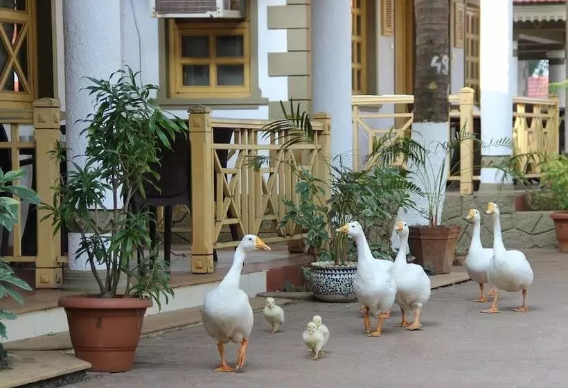 Golden Swan Beach Resort