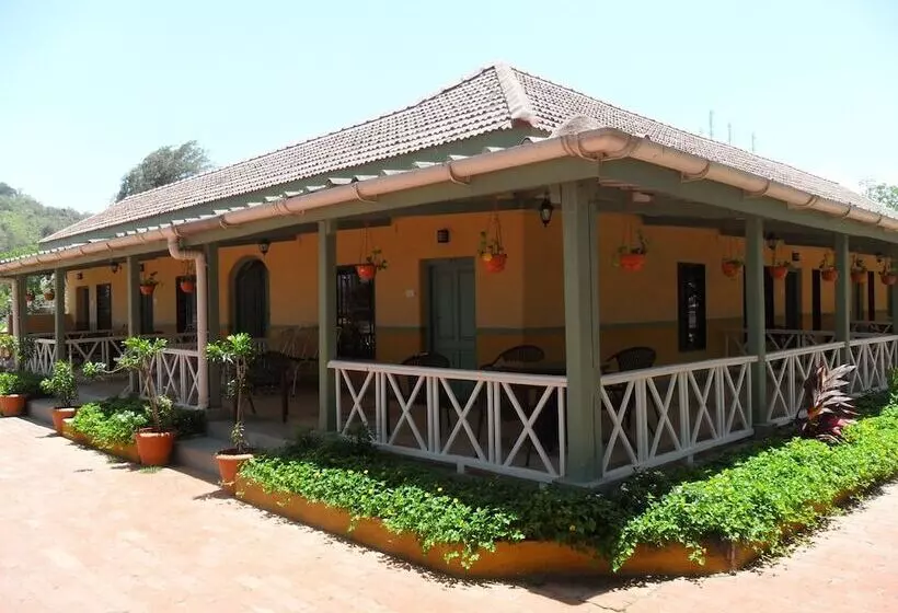 Golden Swan Beach Resort
