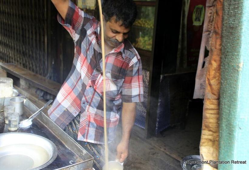 호텔 Beaumont Plantation Retreat