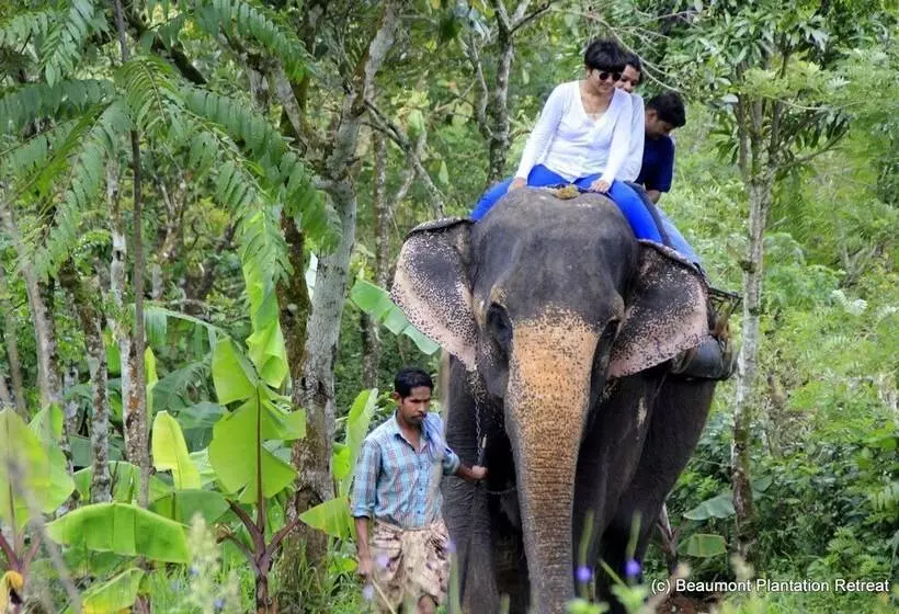 Hotelli Beaumont Plantation Retreat