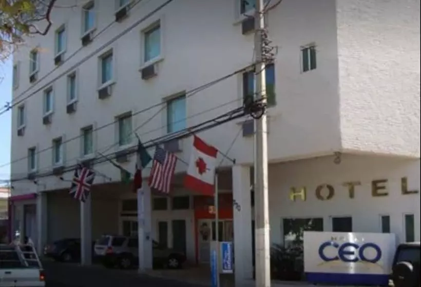 Ceo Hotel Business Class