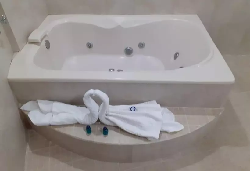 Ceo Hotel Business Class