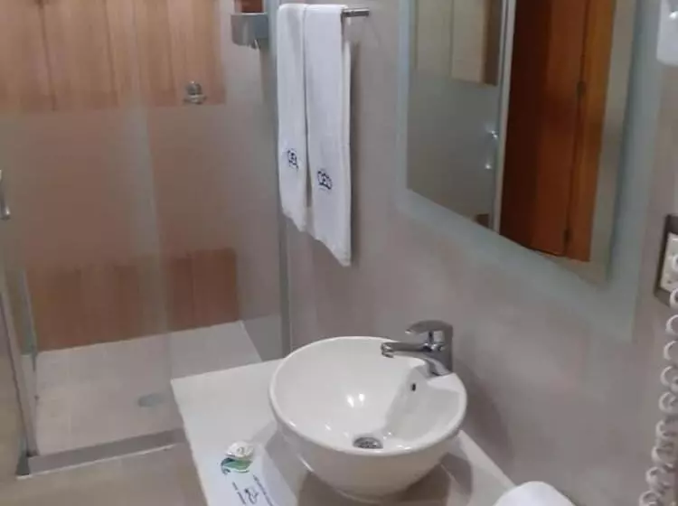 Ceo Hotel Business Class