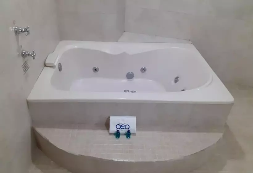 Ceo Hotel Business Class