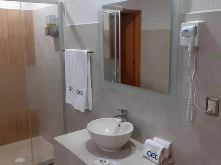 Ceo Hotel Business Class