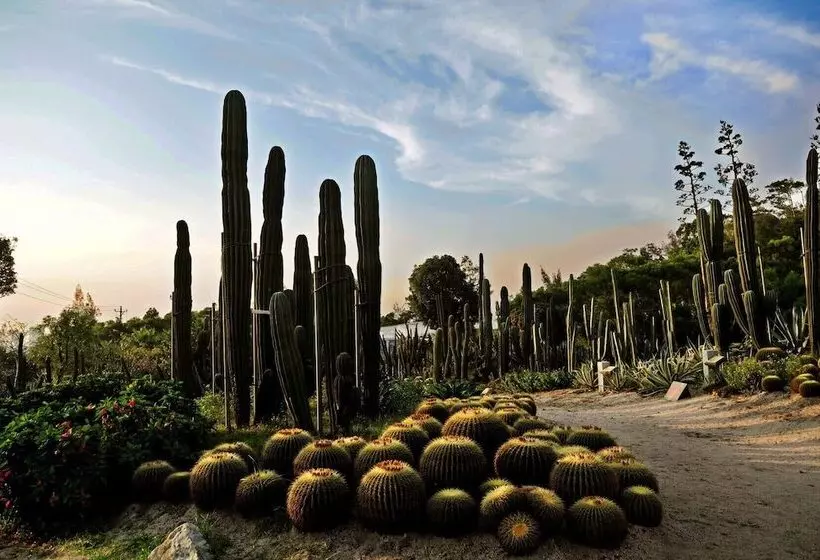 酒店 Mercure Xiamen On The Bund