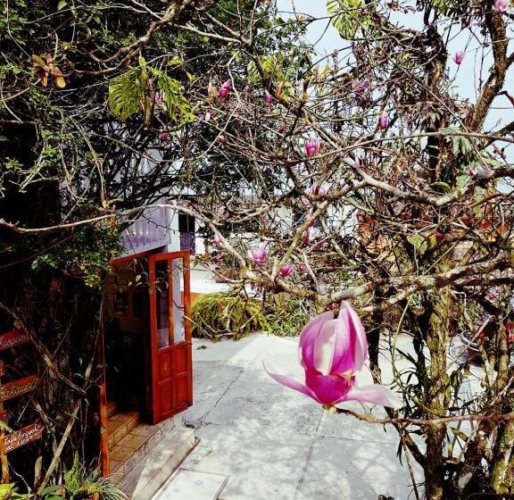 فندق Meson Yohualichan