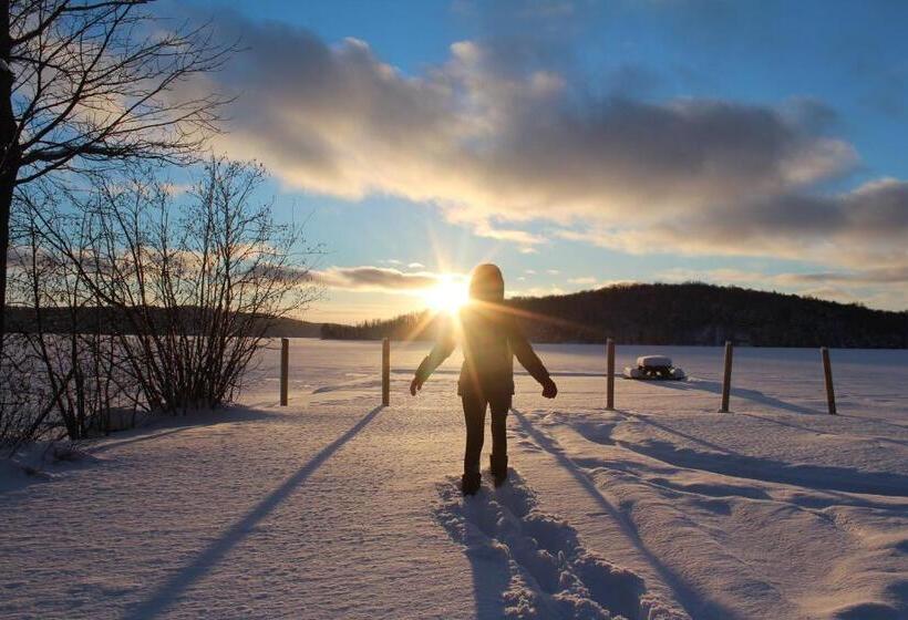 Отель Tally Ho Inn