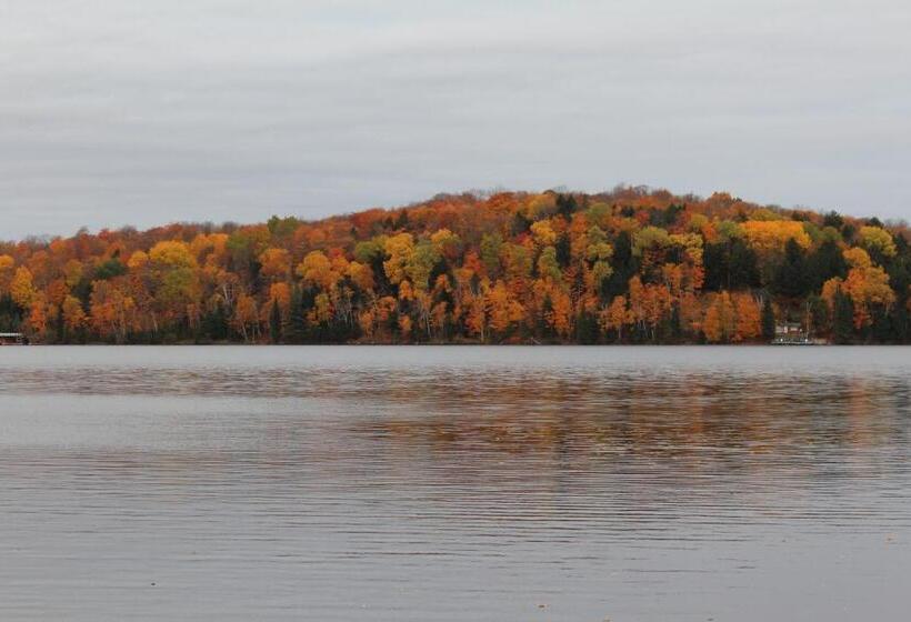 Отель Tally Ho Inn