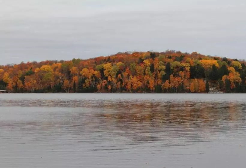 Отель Tally Ho Inn