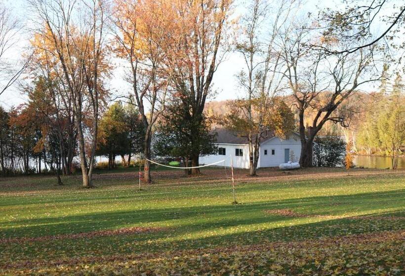 Отель Tally Ho Inn