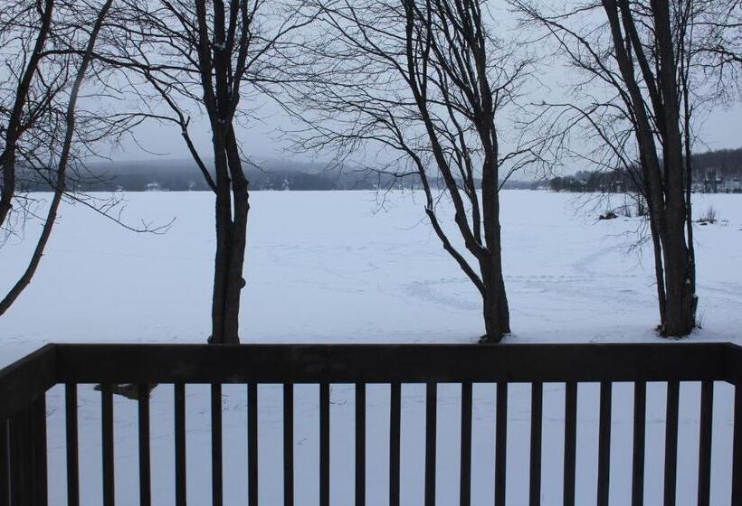 Отель Tally Ho Inn