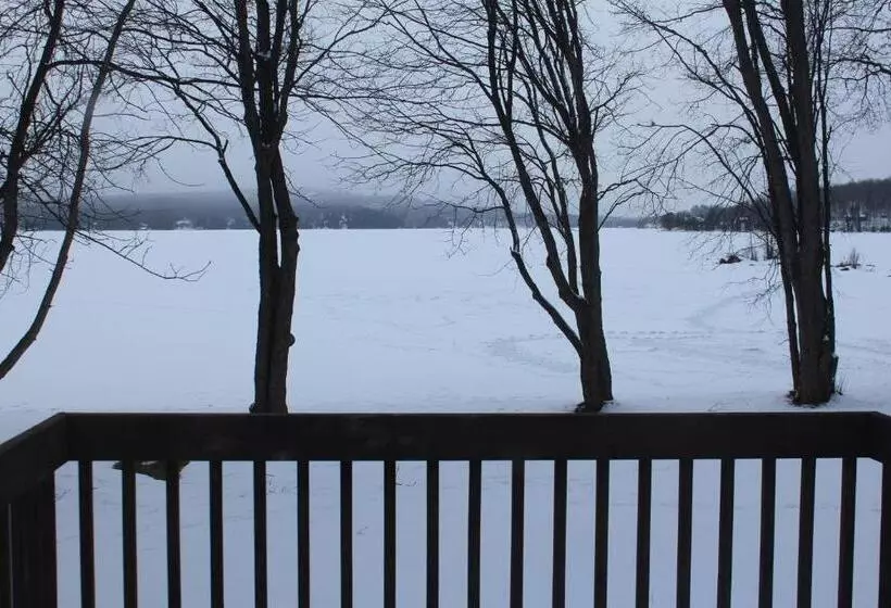 Отель Tally Ho Inn