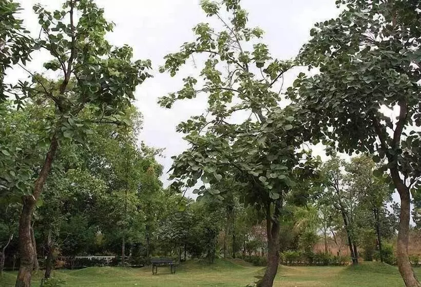 ホテル United 21 Jungle Resort Pench