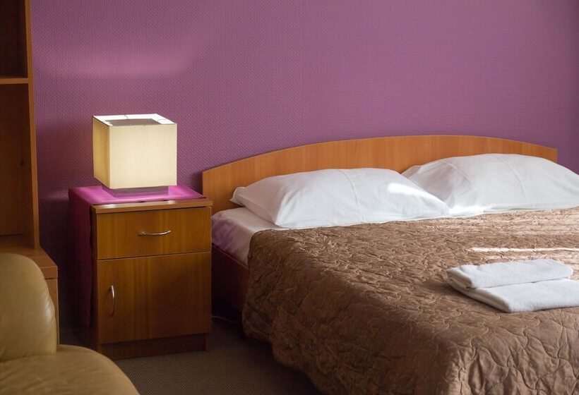 Master Hotel Kotelniki