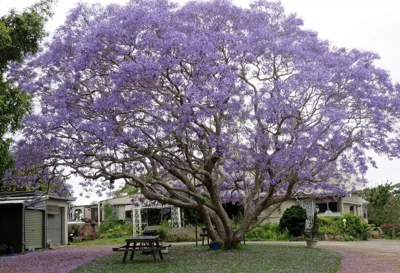 汽车旅馆 Ecotel Narooma