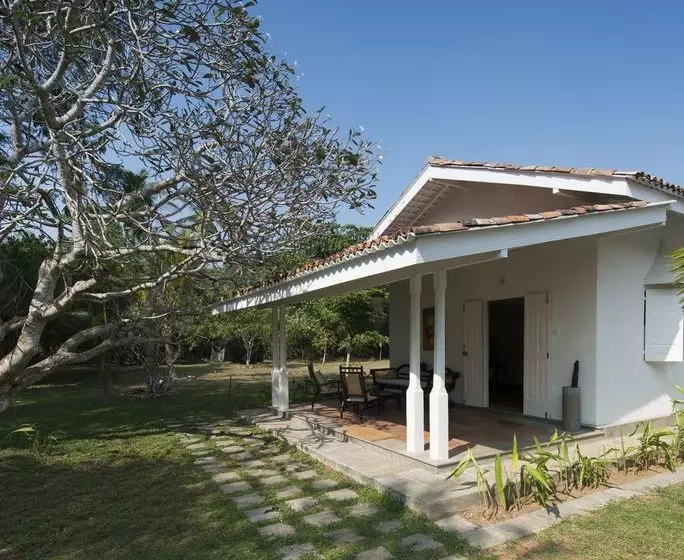 Nyne Hotels   Rock Villa, Bentota