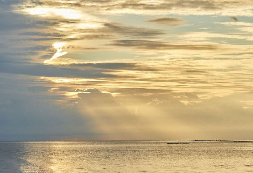 The Calm Resort & Spa