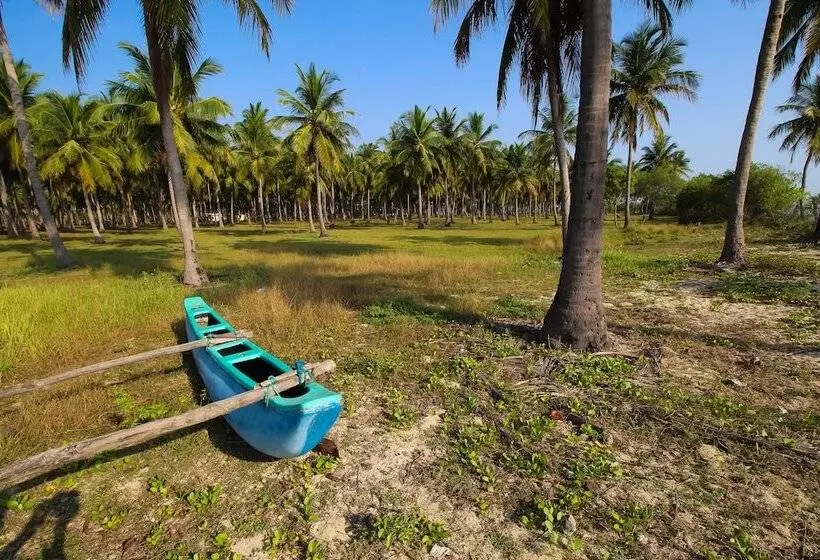 The Calm Resort & Spa