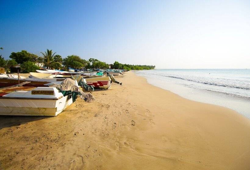 The Calm Resort & Spa