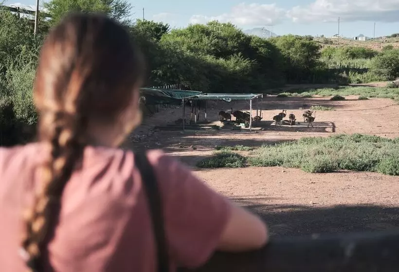 ホテル Africamps Klein Karoo