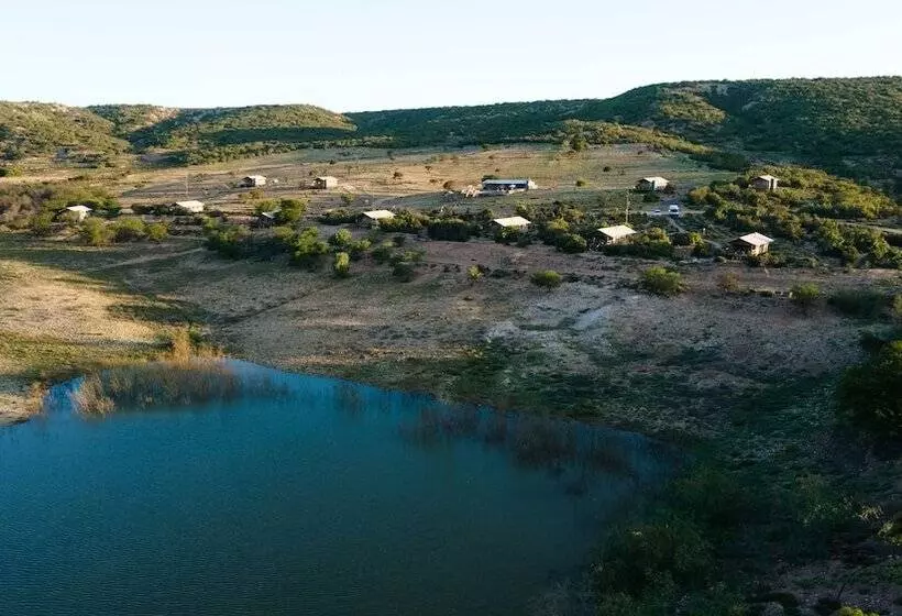 ホテル Africamps Klein Karoo