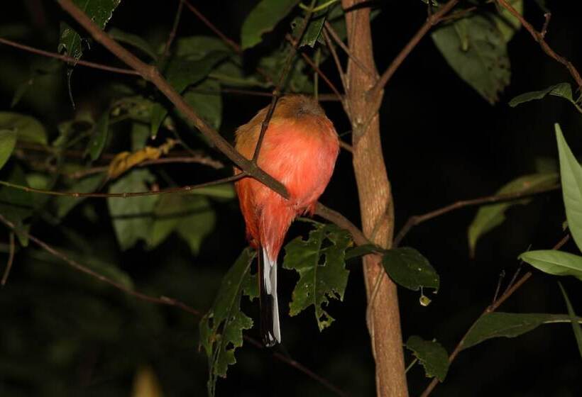 בית מלון כפרי Borneo Natural Sukau Bilit Resort