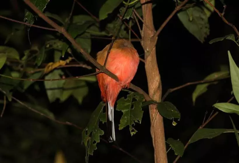 Отель Borneo Natural Sukau Bilit Resort