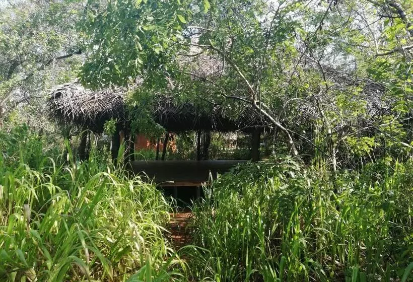 酒店 Kuwera Eco Lodge