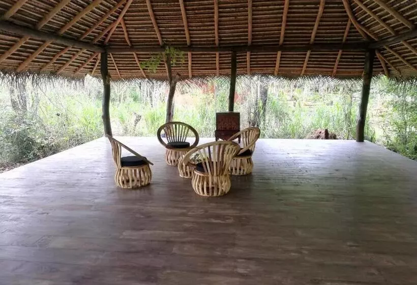 酒店 Kuwera Eco Lodge