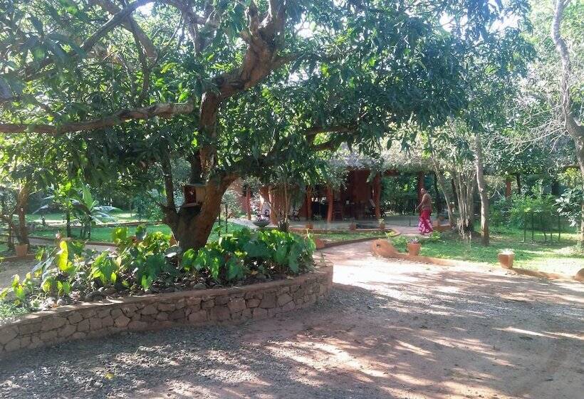 בית מלון כפרי Kuwera Eco Lodge