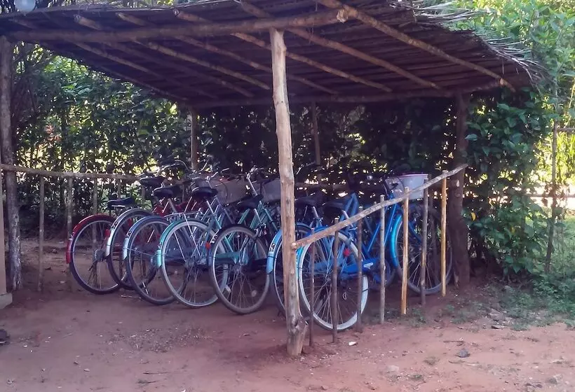 酒店 Kuwera Eco Lodge