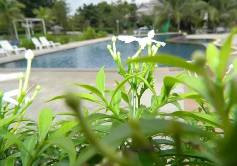 호텔 Pai Iyara Resort