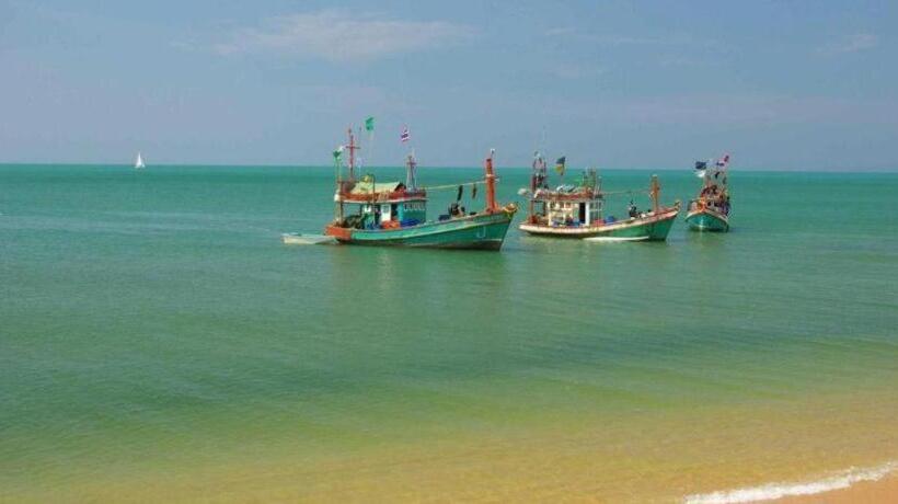 Отель Sea Falcon On The Water