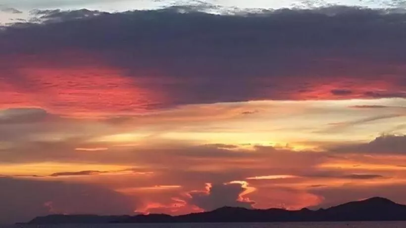 בית מלון כפרי Sea Falcon On The Water