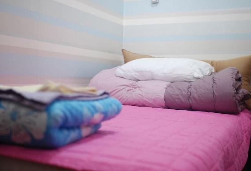 Amuse Guest House   Hostel