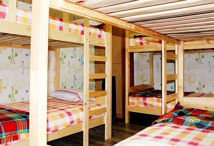 Amuse Guest House   Hostel