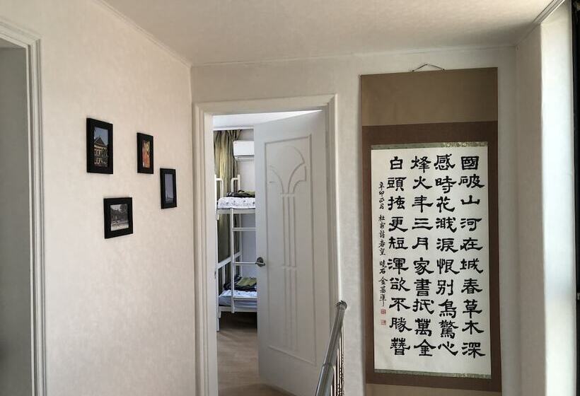 Amuse Guest House   Hostel