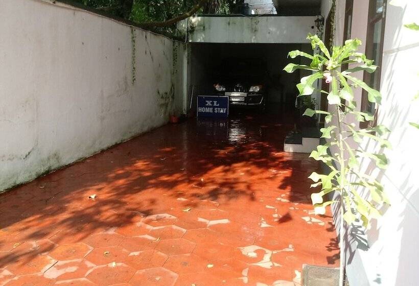 住宿加早餐  Leelu Homestay