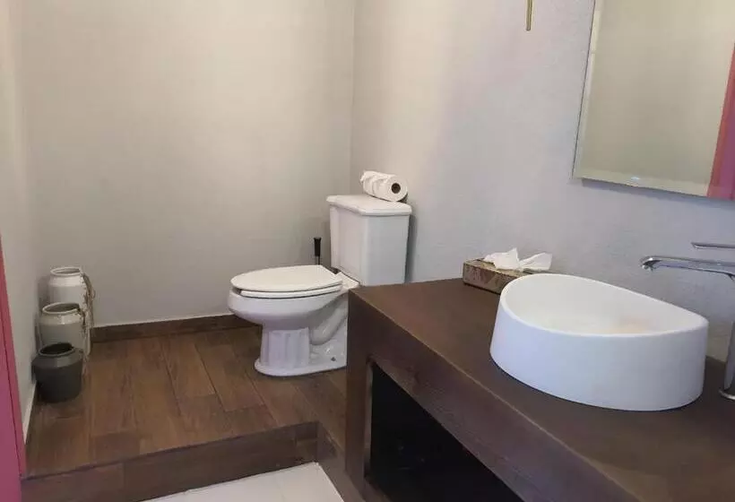 هتل Mansion San Miguel